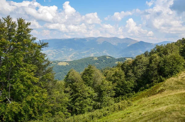 Luftaufnahme Der Grünen Karpaten Mit Immergrünen Fichtenkiefernwäldern Und Fernen Berggipfeln — Stockfoto