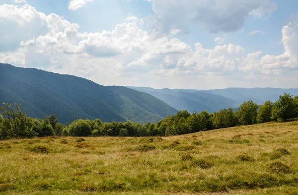 乌克兰喀尔巴阡山脉长满青草的山丘上的绿色山毛榉林 日出时美丽的山景 — 图库照片