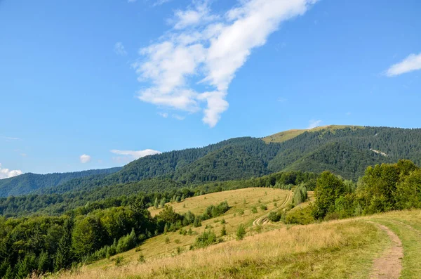Landschaft Des Hellen Sommertages Den Karpaten Karpatenpanorama Blauer Himmel Bäume — Stockfoto