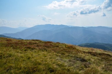 Güneşli bir sonbahar gününde, huzurlu ve el değmemiş doğanın muhteşem manzarası. Arkasında Karpat dağları ve yerde eski otlar var.