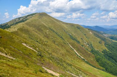 Dağ yamacının rengarenk manzarası. Ukrayna 'nın güzel Karpat dağlarına bakan çok renkli otlar.