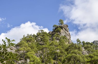 Türkiye 'nin ünlü Likya Yolu turizm yolu üzerindeki ağaçlarla kaplı Taurus dağlarının manzarası