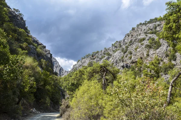 Pedras Árvores Desfiladeiro Goynuk Trekking Nas Montanhas Taurus Maneira Lícia — Fotografia de Stock