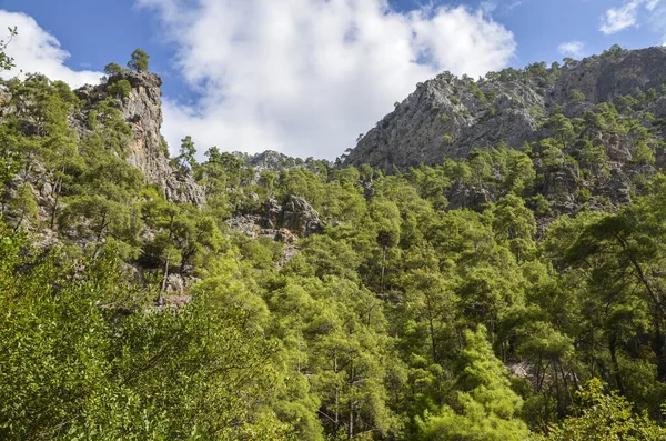 Paisaje Las Montañas Tauro Cubierto Árboles Famosa Ruta Turística Likya —  Fotos de Stock