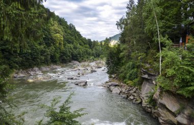 Karpat dağlarının güzel manzarası, yeşil çam ormanı, hızlı nehir Prut yakınlarındaki kayalar, Ukrayna, Yaremche