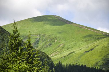 Ukrayna 'nın en yüksek dağı olan Hoverla' nın yeşil yamacına yaz manzarası. Ünlü bir yer ve turistik bir yer. Karpat Dağları, Ukrayna