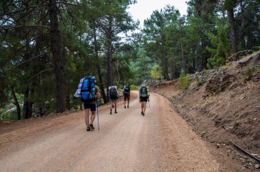 Sırt çantalı bir grup turist ormanda yürüyor ve vahşi doğayı keşfediyorlar. Trekker, yürüyüş sporu ve seyahat insanları konsepti