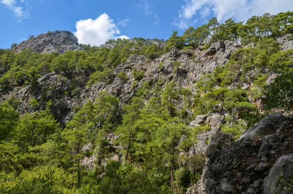 Landskap Taurusbergen Täckt Träd Berömda Likya Yolu Turist Väg Turkiet — Stockfoto