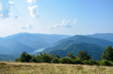 Kolochava köyü yakınlarındaki Tereblya Nehri 'nde bulunan Vilshanske rezervuarının yaz manzarası. Karpat Dağları, Ukrayna