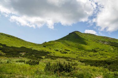 Yazın Karpatlar 'ın resimli manzarası. Chornohora sıradağlarındaki Turkul Dağı 'nın manzarası. Popüler yürüyüş rotası. Yükseklik 1933 metre..