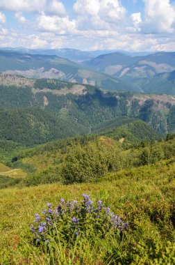 Tepeli dağları olan güzel bir Karpatyalı. Yaz dağları yeşil çimenler ve mavi gökyüzü manzarası