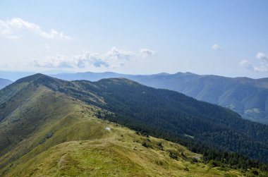 Karpatlar 'ın en büyük ve en güzel dağlarından biri olan Strymba Dağı' ndaki küçük göl son derece popüler bir turizm merkezidir. Ukrayna, Transcarpathia, Kolochava köyü yakınlarında yer almaktadır.