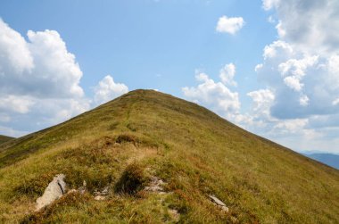 Yaz sıcağında, bulutların altındaki yamaçlı otlak zirvesi. Karpatya, Ukrayna 'daki Tyapesh Dağı tepesi.