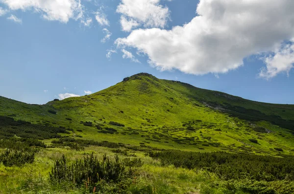 Одной Самых Высоких Вершин Украинских Карпат Является Гора Туркуль Расположенная — стоковое фото