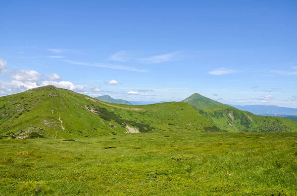 Pintoresco Paisaje Montañoso Los Cárpatos Vista Panorámica Cordillera Chornohora Con —  Fotos de Stock