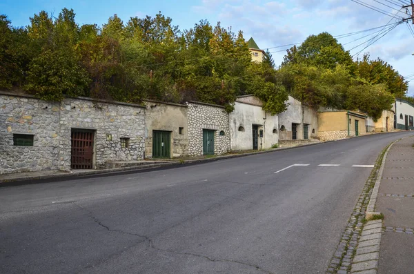 Gruppe Typischer Alter Weinkeller Freien Der Stadt Eger Die Für — Stockfoto