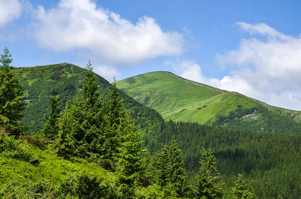 Vacker Utsikt Över Gröna Sluttningar Det Högsta Berget Ukraina Hoverla — Stockfoto