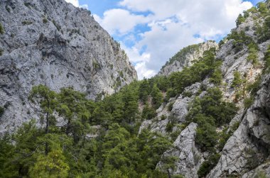 Türkiye 'nin ünlü Lycian Yolu turizm yolundan yeşil dağ çayırında kayalıkları olan Taurus Dağları' ndaki dağ sırtına, taşlı tepelere bakın.