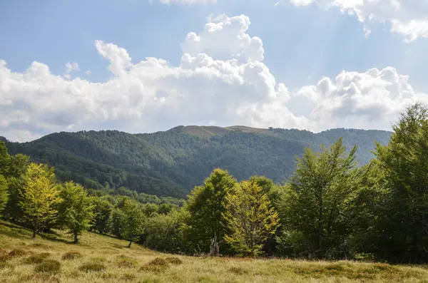 Grüner Wald Und Bergrücken Schöne Sommerlandschaft Der Karpaten Ukraine — Stockfoto