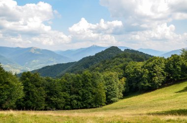 Ormanlık bir dağ sırasının yaz manzarası ve bulutlu bir gökyüzünün altında çimenli vadiler. Arka planda Kolochava köyü ve Strymba Dağı. Karpat Dağları, Transcarpathia, Ukrayna