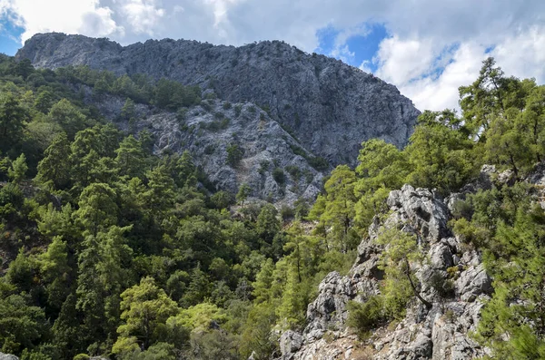 Türkiye 'deki Goynuk Kanyonu' nda dağ kayaları olan bir sahne. Ünlü Lycian tarzı Trekking