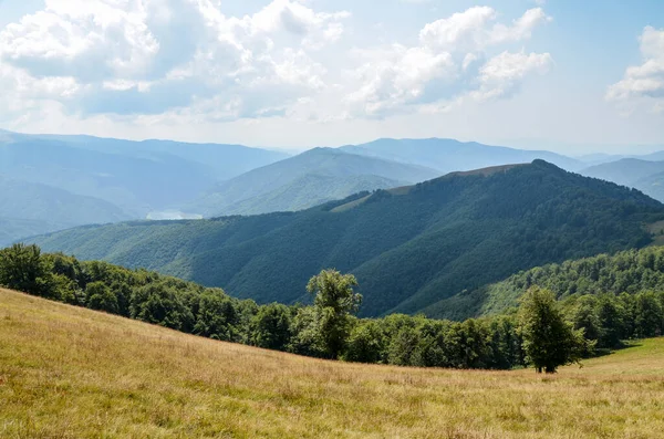 Naturskön Utsikt Över Bergen Nära Gul Äng Och Grön Skog — Stockfoto