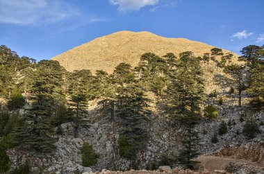 Gün doğumunda Tahtali dağının manzarası. Dağın zirvesine giden yol. Türkiye 'de ünlü Lycian yolu