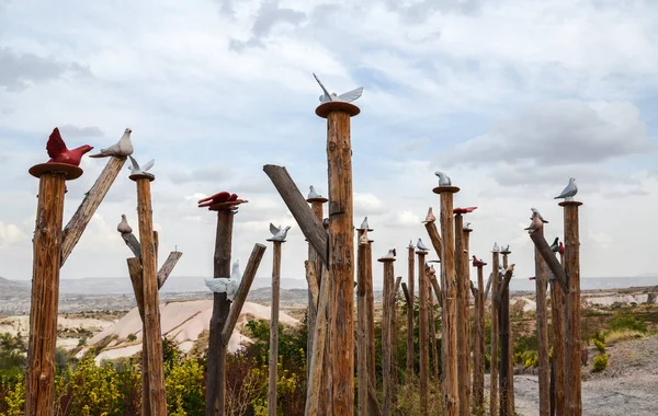 비둘기가 비둘기 계곡에 기둥에 바위가 아름다운 배경이다 터키의 카파도 — 스톡 사진