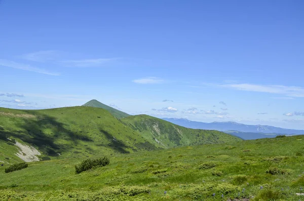 Pintoresco Paisaje Montaña Verano Con Verdes Montañas Los Cárpatos Cielo —  Fotos de Stock