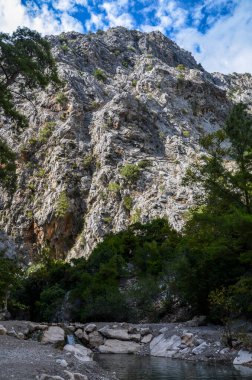 Türkiye dağlarında yeşil bitki örtüsüyle kaplı güzel doğa dağ manzarası. Lycian tarzı yürüyüşçüler arasında meşhurdur.. 