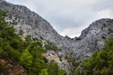 Türkiye dağlarında yeşil bitki örtüsüyle kaplı güzel doğa dağ manzarası. Lycian tarzı yürüyüşçüler arasında meşhurdur.. 