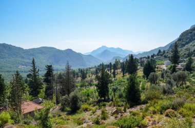 Vahşi dağlar. Taurus Dağları 'nın kayaları ve çam ağaçları. Lycian tarzı. Türkiye 'de güzel doğa