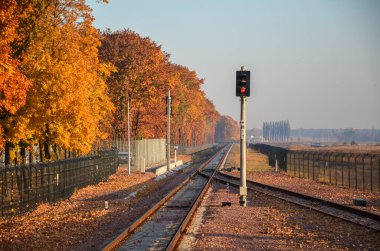 Kırmızı ışığı olan bir tren yolu trafik ışığı. Güzel bir sonbahar gününde demiryolu ve semafor. Sonbahar manzarası.