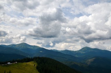 Yeşillik ladin ormanının ortasındaki otlaktaki ahşap çoban evleri ve arka plandaki dağ manzarası. Karpat Dağları, Ukrayna