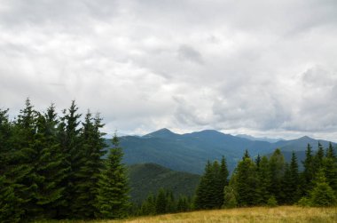 Dağların manzaralı manzarası, orman, çayırlar ve arka planda otlaklar, Ukrayna 'nın Karpatya sırtı üzerinde bulutlu bir gökyüzü.