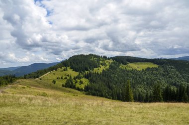 Dağ manzarası, Karpat Dağları manzarası, yaz zamanı. Yeşil tepeler, çayırlar ve orman. Karpatların panoraması, yuvarlanan manzara. Ukrayna