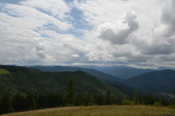 Ein Malerischer Blick Auf Die Berglandschaft Wald Wiesen Und Weiden — Stockfoto