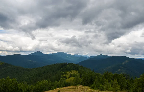 Ein Malerischer Blick Auf Die Berglandschaft Wald Wiesen Und Weiden — Stockfoto