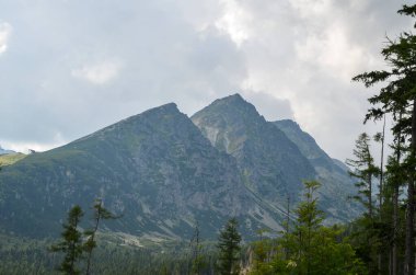 Alçak bulutlar yeşil ladin ağaçları ve kayalık dağlar. Bulutlu sisli bir günde High Tatras. Popradske Pleso ile Strbske Pleso, Slovakya arasındaki yol