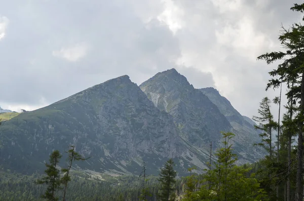 Niskie Chmury Zielone Świerki Drzew Skaliste Góry Tatry Wysokie Pochmurny — Zdjęcie stockowe
