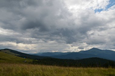 Kukul çayırından Chornohora Dağı 'nın tepe manzarası. Karpatya dağlarında köknar ağacı ve güzel doğal manzara.
