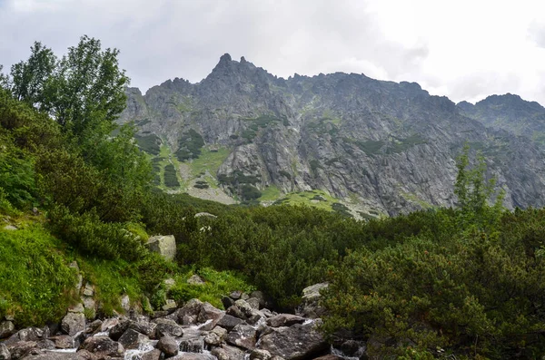 Landschaft Und Felsige Neblige Berge Vor Wolkenverhangenem Himmel Der Hohen — Stockfoto