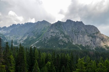 Alçak bulutlar yeşil ladin ağaçları ve kayalık dağlar. Bulutlu sisli bir günde High Tatras. Popradske Pleso ile Strbske Pleso, Slovakya arasındaki yol