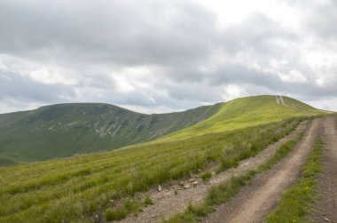 Gri, bulutlu bir gökyüzünün altındaki çimenli bir tepeyi kaplayan engebeli toprak yol. Yemyeşil çayırlar yolu çevrelemiş, açık havada keşif ve barışçıl bir macera hissi uyandırıyor. Karpat Dağları, Ukrayna