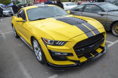 Güçlü ve göz alıcı sarı Ford Mustang Shelby GT500 siyah yarış çizgileri yüksek performanslı Amerikan kaslı arabası açık hava araba yarışlarında sergilendi.