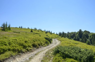 Çimenli bir yamaçtan geçen sarmal toprak patika çalılar ve küçük ağaçlarla kaplı. Yukarıdaki parlak mavi gökyüzü kırsal bir alanda açıklık, sakinlik ve özgürlük hissi yaratıyor. Karpat Dağları