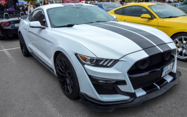 Güçlü beyaz Ford Mustang Shelby GT500 ikonik Amerikan kaslı arabası kaput ve çatısı üzerinde agresif siyah yarış çizgilerine sahiptir.