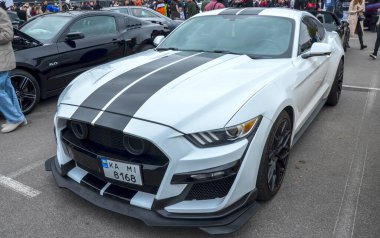 Güçlü beyaz Ford Mustang Shelby GT500 ikonik Amerikan kaslı arabası kaput ve çatısı üzerinde agresif siyah yarış çizgilerine sahiptir.