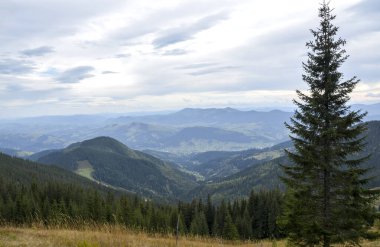 Bulutlu bir gökyüzü altında, sonsuz yeşil ormanlar ve uzak tepeler tarafından çerçevelenmiş dağ vadileri, huzurlu ve manzaralı bir yerde keşif, doğa ve açık hava sükunetini davet ediyor. Karpatlar, Ukrayna