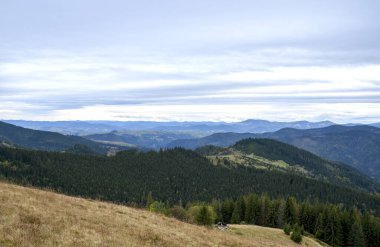 Katmanlı dağlar, sık ormanlar ve bulutlu bir gökyüzünün altında ön planda kahverengi bir çayır barındıran geniş bir manzara. Serin, sessiz tonlar, sakin ve geniş bir açık hava sahnesi sergiliyor. Karpatlar